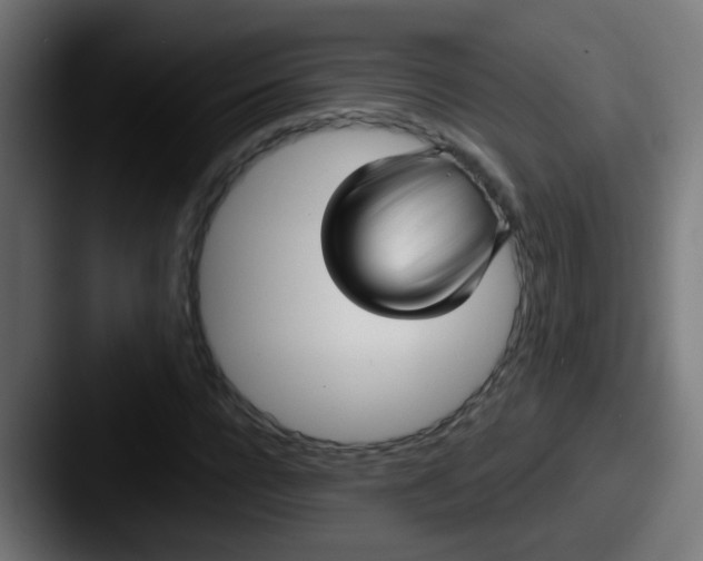 X0000087610920200705181252