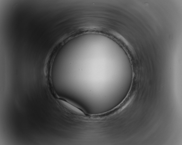 X0000087610922200705181252