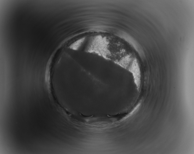 X0000087610923200705181252