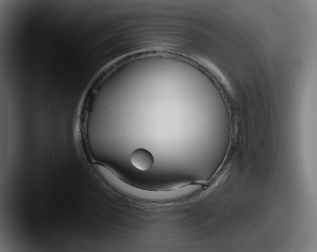 X0000087610924200705181252