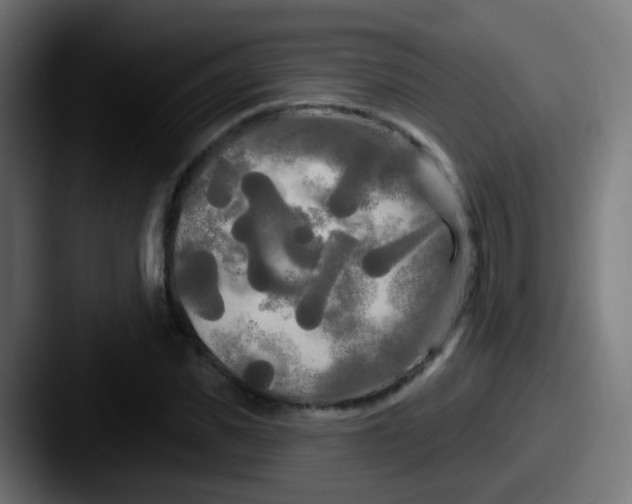 X0000087610925200705181252