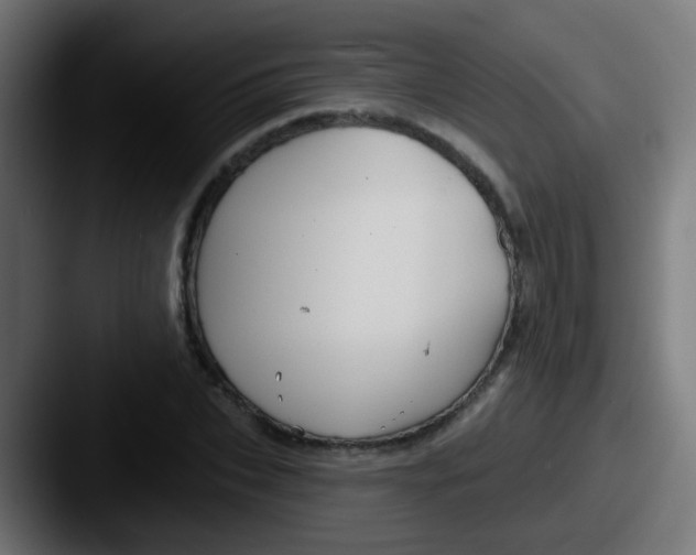 X0000087610927200705181252