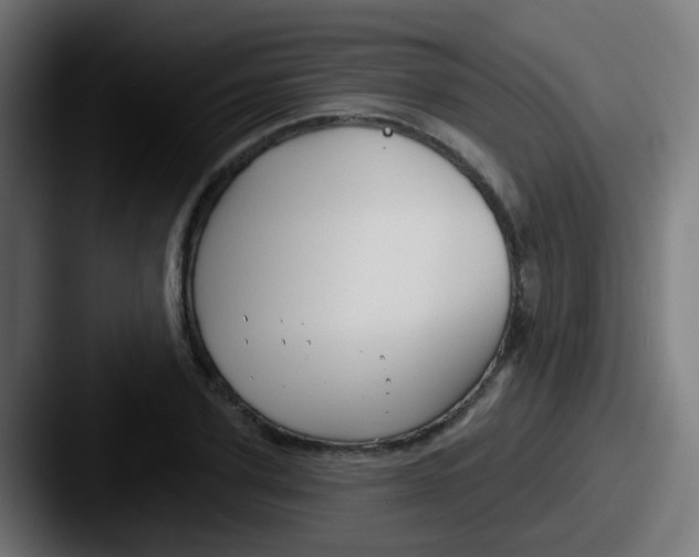 X0000087610931200705181252