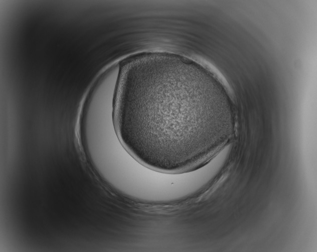 X0000087610932200705181252