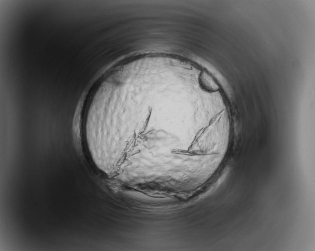 X0000087610933200705181252