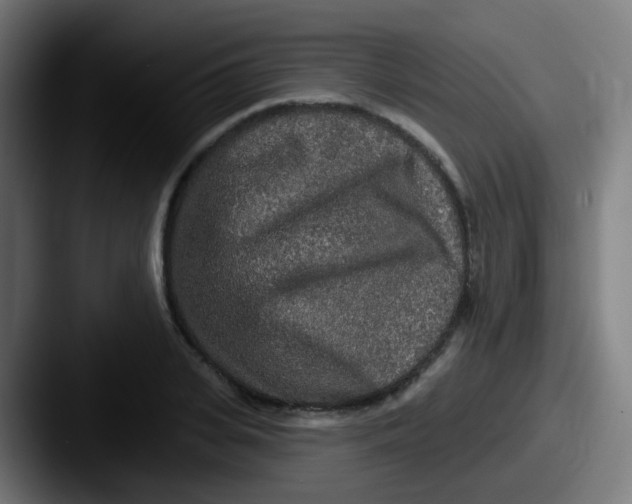 X0000087610935200705181252