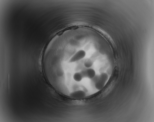 X0000087610937200705181252