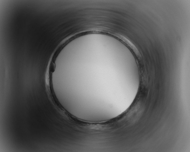 X0000087610940200705181252