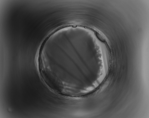 X0000087610941200705181252