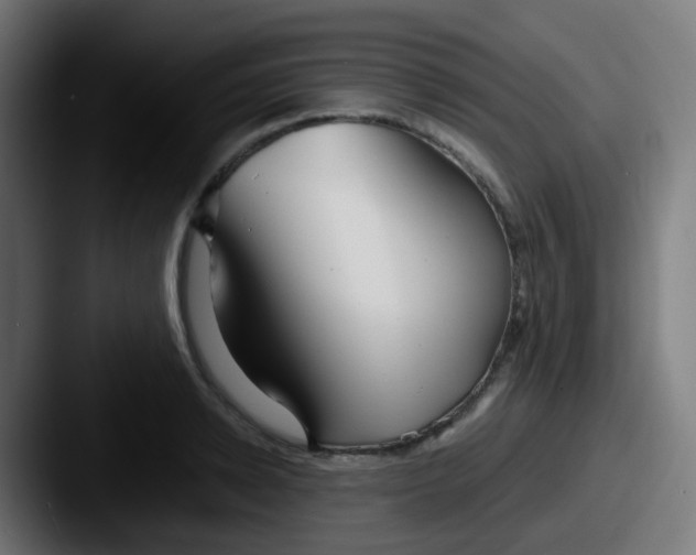 X0000087610942200705181252