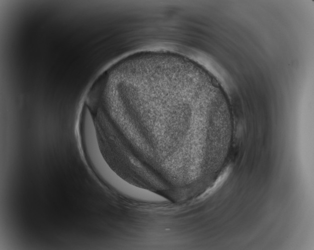 X0000087610943200705181252