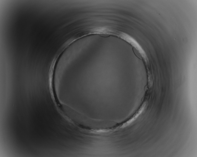 X0000087610946200705181253