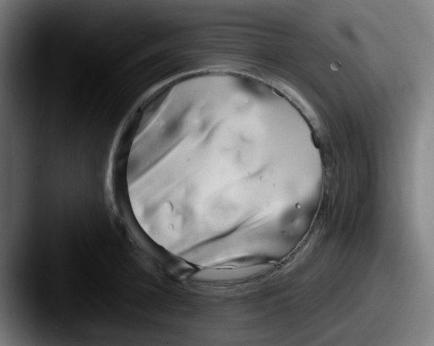 X0000087610948200705181253