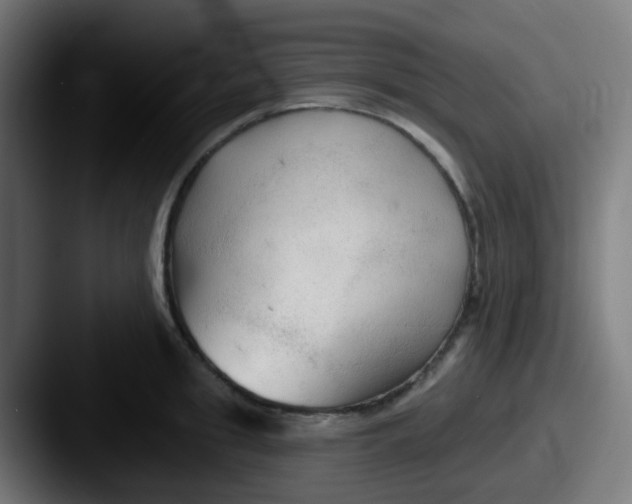 X0000087610949200705181253