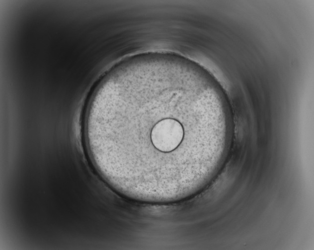 X0000087610950200705181253