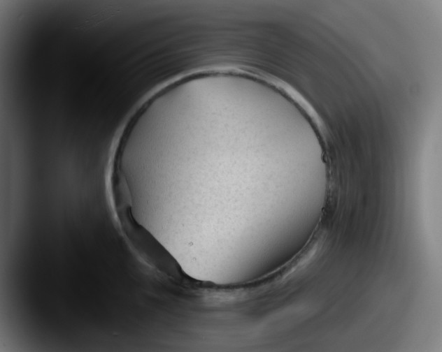 X0000087610951200705181253