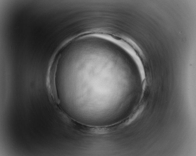 X0000087610952200705181253