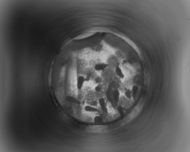 X0000087610953200705181253