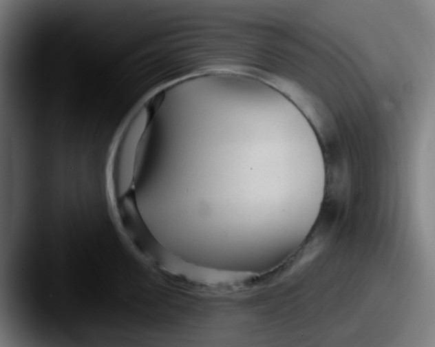 X0000087610955200705181253