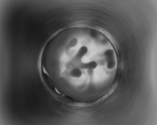 X0000087610957200705181253