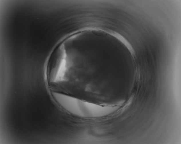 X0000087610958200705181253