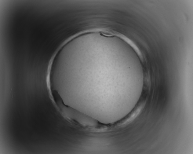 X0000087610959200705181253