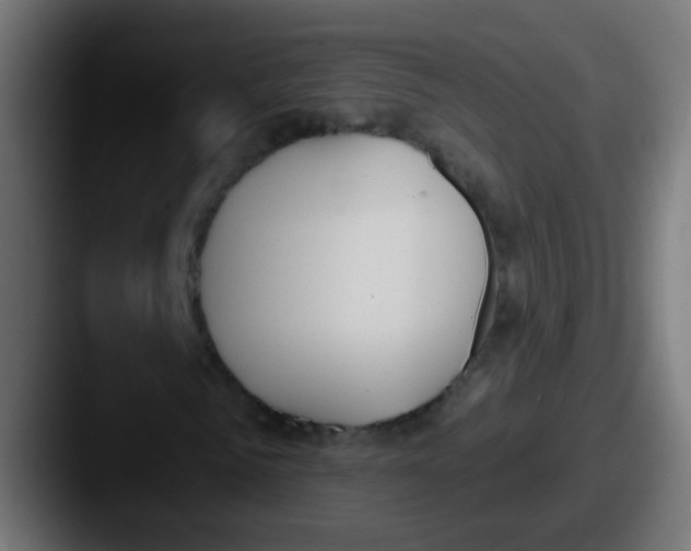 X0000087610961200705181252