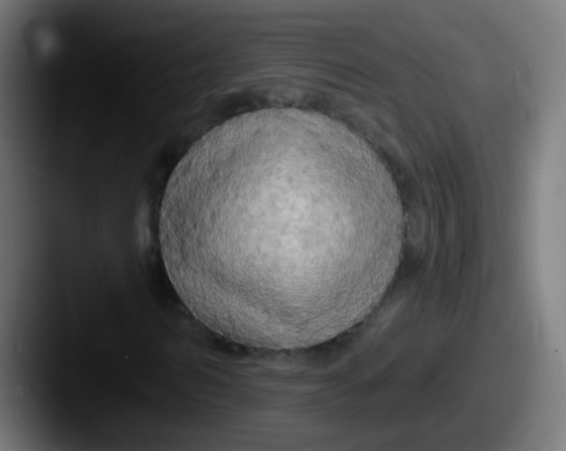 X0000087610962200705181252