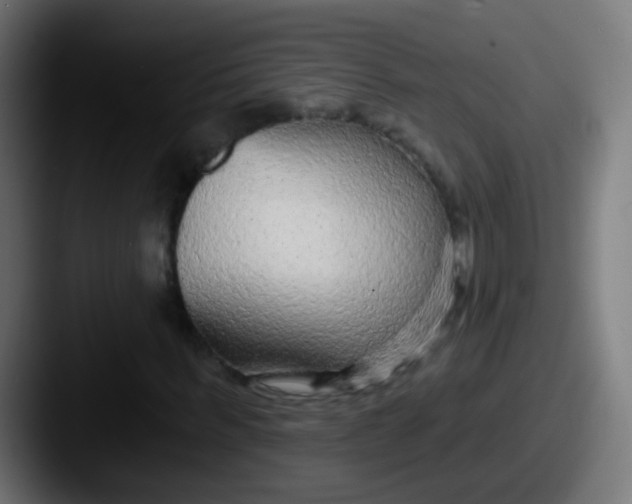 X0000087610963200705181252