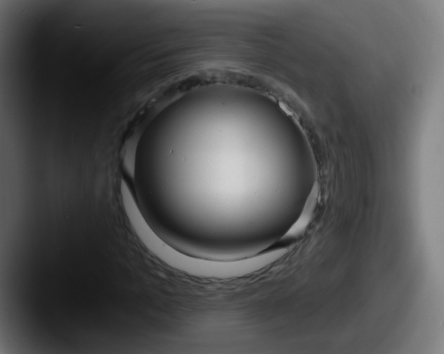 X0000087610965200705181252