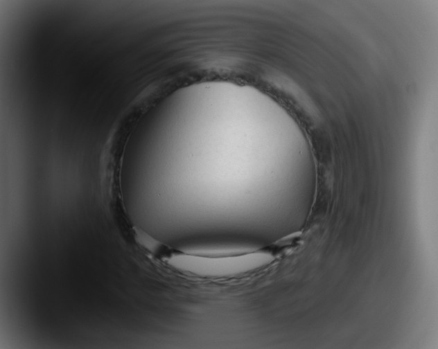 X0000087610968200705181252