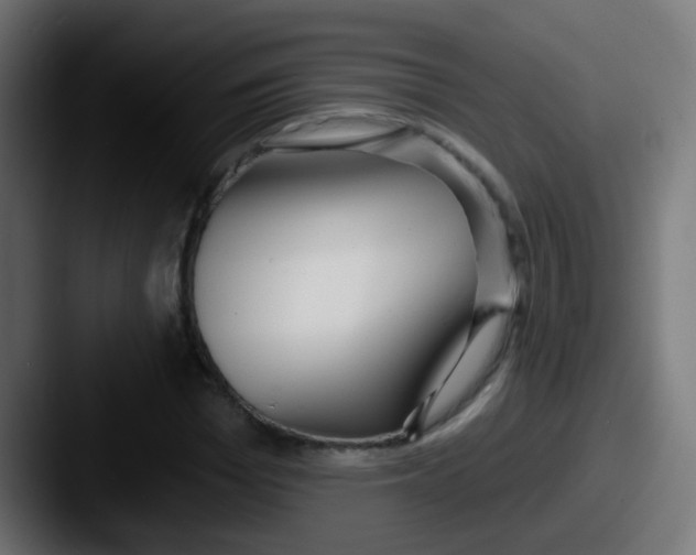 X0000087610969200705181252