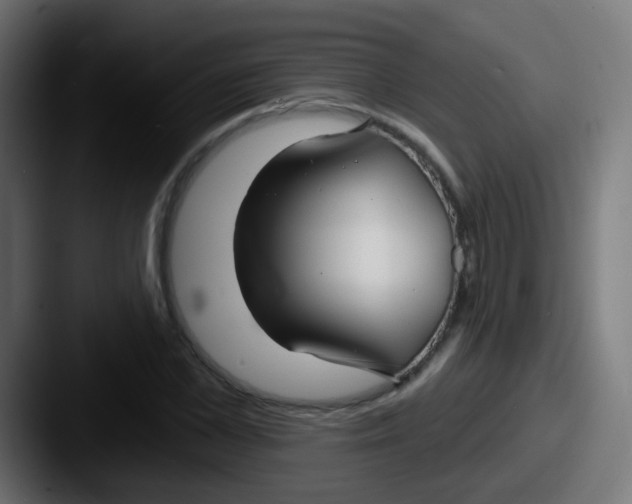 X0000087610973200705181252