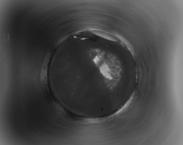 X0000087610977200705181252