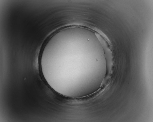 X0000087610980200705181252