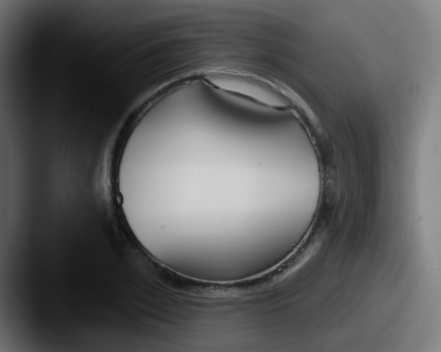 X0000087610981200705181252