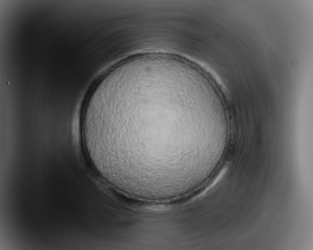 X0000087610982200705181252