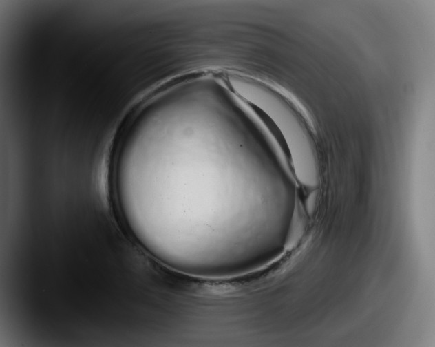 X0000087610983200705181252