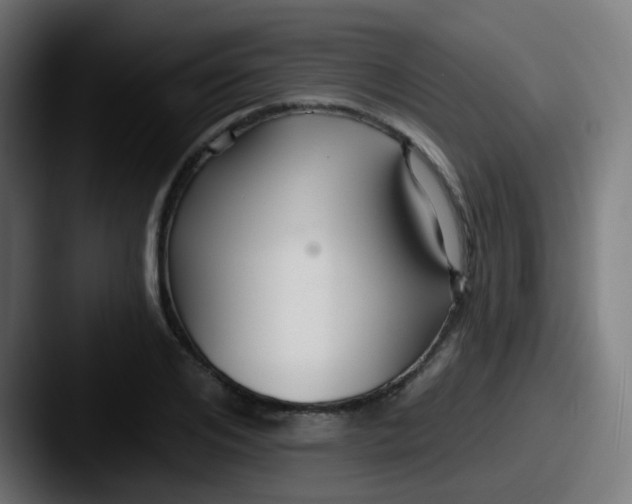 X0000087610984200705181252