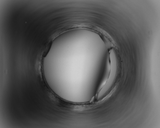 X0000087610985200705181252