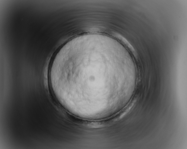 X0000087610986200705181252