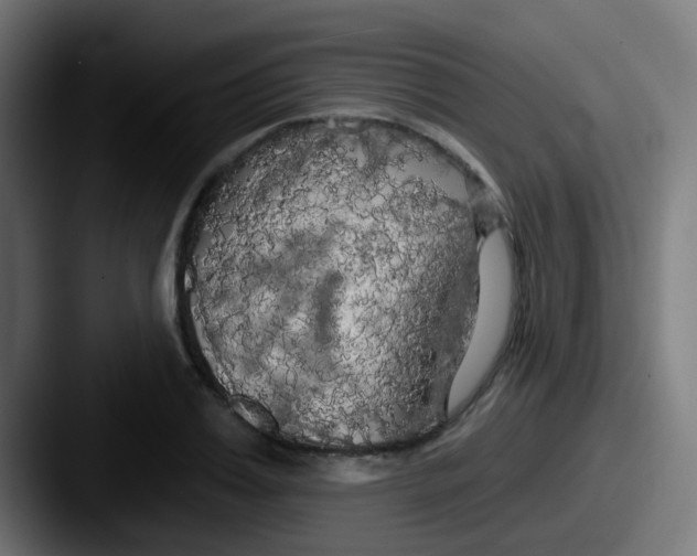 X0000087610987200705181252