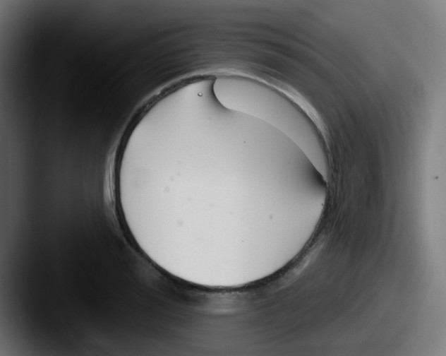 X0000087610988200705181252