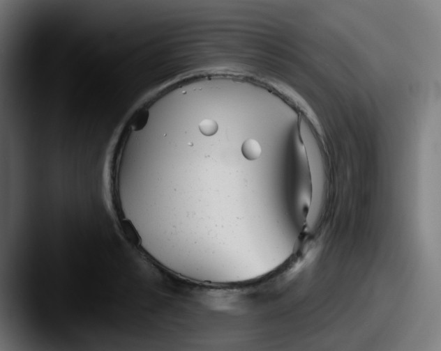 X0000087610989200705181252