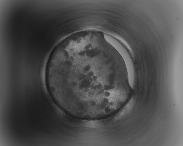 X0000087610991200705181252