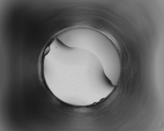 X0000087610992200705181252