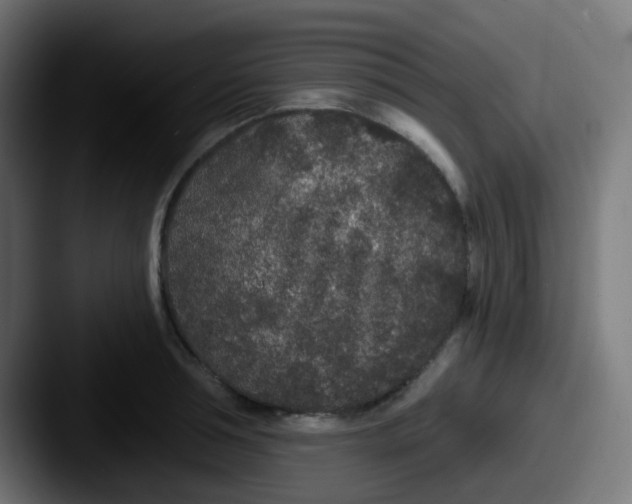 X0000087610994200705181252