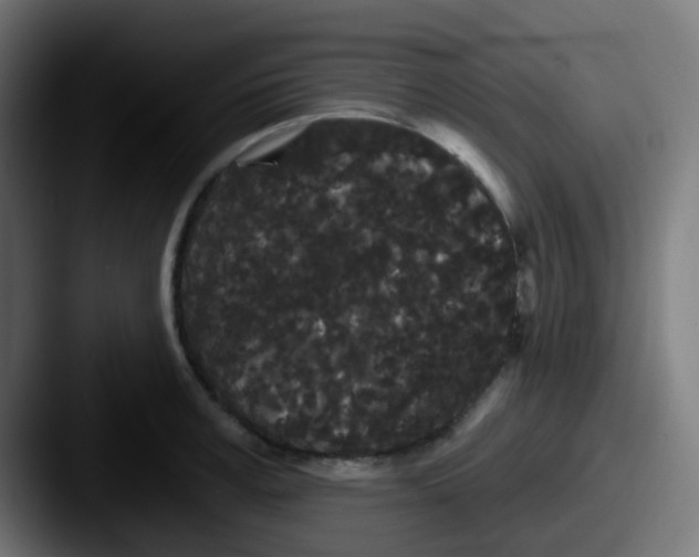 X0000087610995200705181252