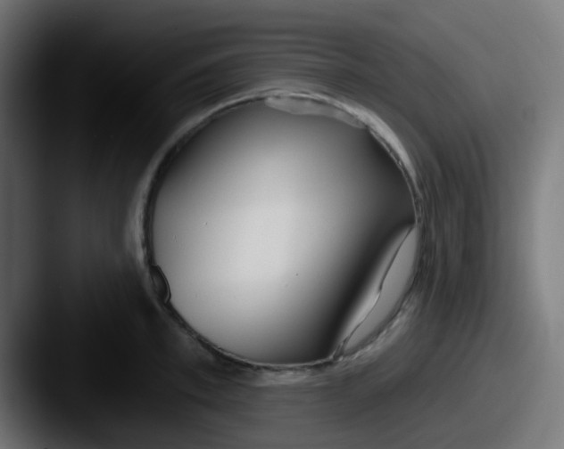 X0000087610997200705181252