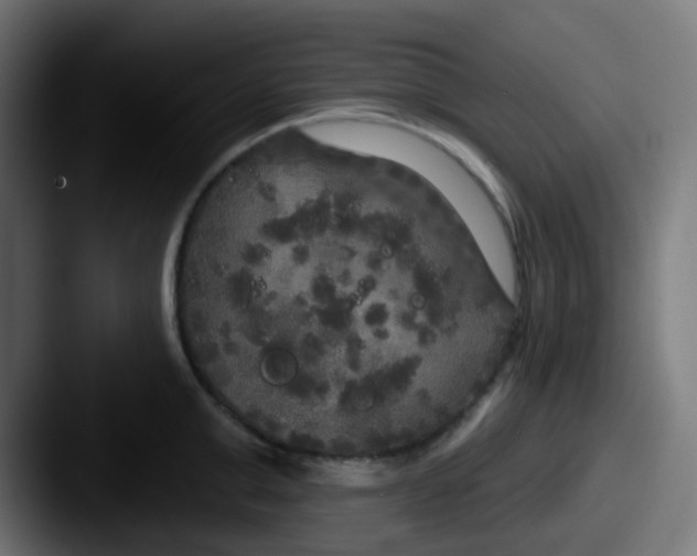 X0000087610999200705181252